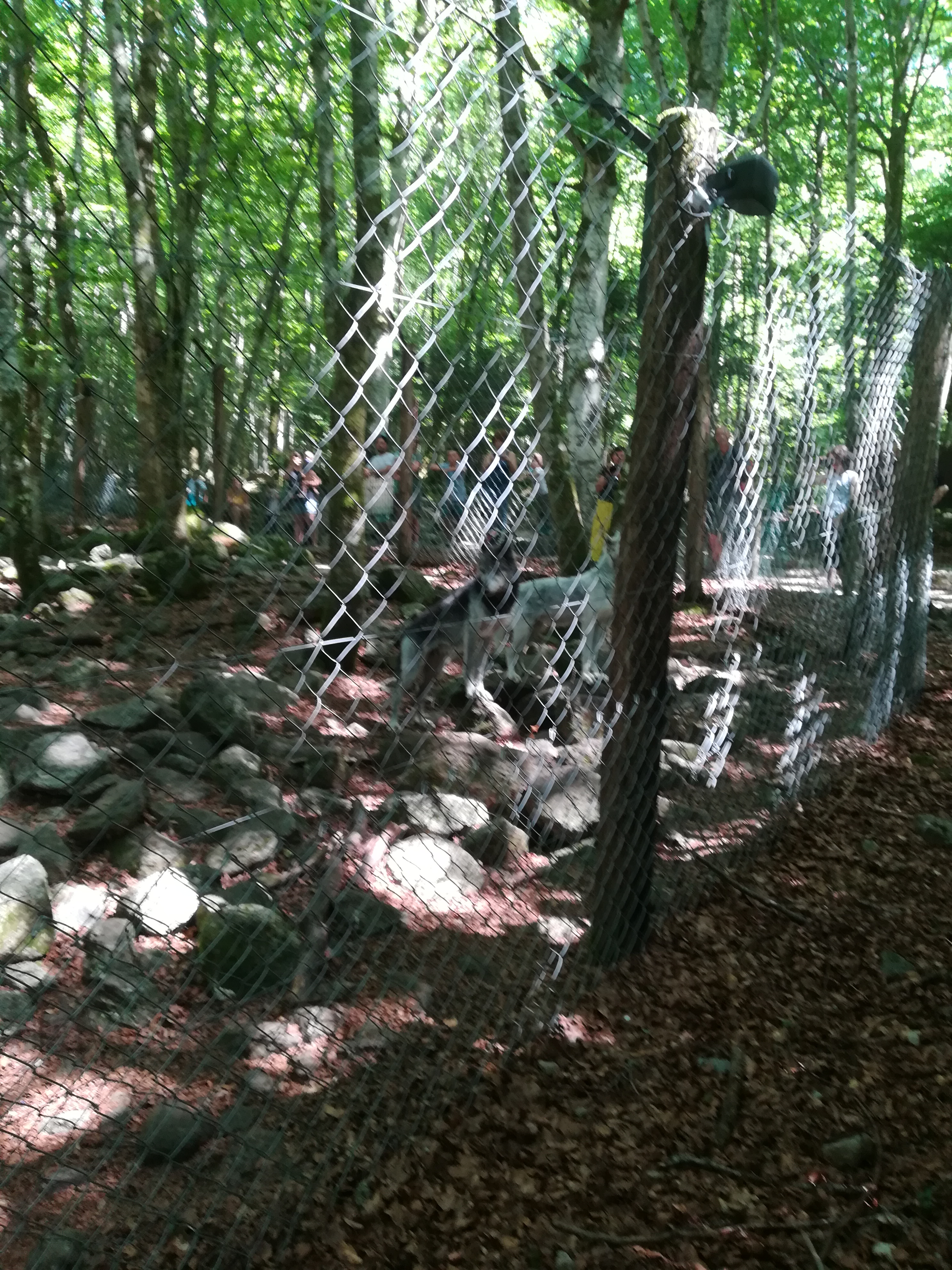 Photo n° 20 de l'avis de Audrey.� fait le 28/07/2017 à 17:11