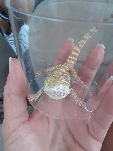 Pet Supply Store «Pet Supplies Plus», reviews and photos, 7331 Park Blvd N, Pinellas Park, FL 33781, USA