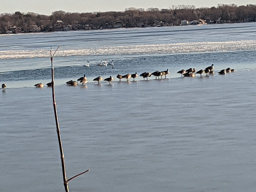 Park «Yahara Place Park», reviews and photos, 2025 Yahara Pl, Madison, WI 53704, USA