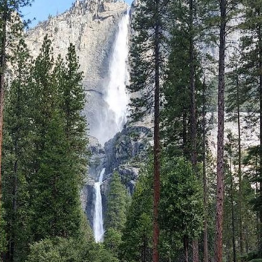 Yosemite Guide Service