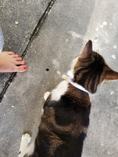 Pet Supply Store «Pet Supermarket», reviews and photos, 801 E Sunrise Blvd, Fort Lauderdale, FL 33304, USA