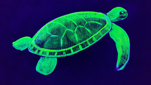 Amusement Center «Zap Zone Extreme Ltd», reviews and photos, 31506 Grand River Ave, Farmington, MI 48336, USA