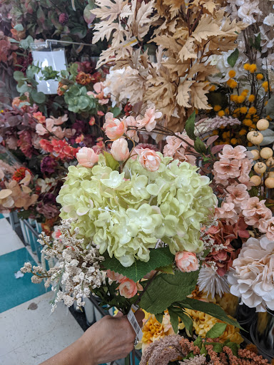 Craft Store «Michaels», reviews and photos, 861 Williston Rd Ste 1, South Burlington, VT 05403, USA