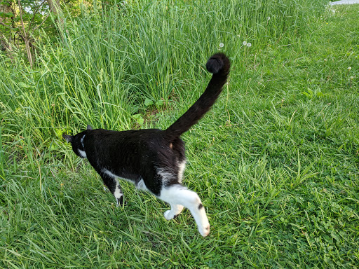 Nature Preserve «Thaddeus S. 