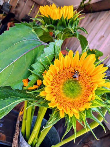 Farm «White Barn Farm», reviews and photos, 458 South St, Wrentham, MA 02093, USA