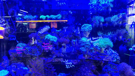 Tropical Fish Store «C K Fish World», reviews and photos, 410 N Azusa Ave, West Covina, CA 91791, USA