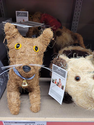 Supermarket «ALDI», reviews and photos, 600 S St W, Raynham, MA 02767, USA