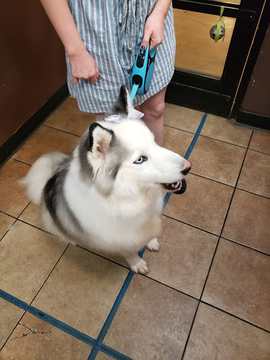 Pet Supply Store «PetSmart», reviews and photos, 4100 Ming Ave, Bakersfield, CA 93309, USA