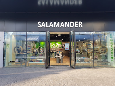 Salamander à Villefontaine