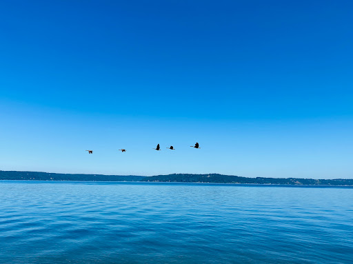 Park «Browns Point Light House Park», reviews and photos, 201 Tulalip St NE, Tacoma, WA 98422, USA