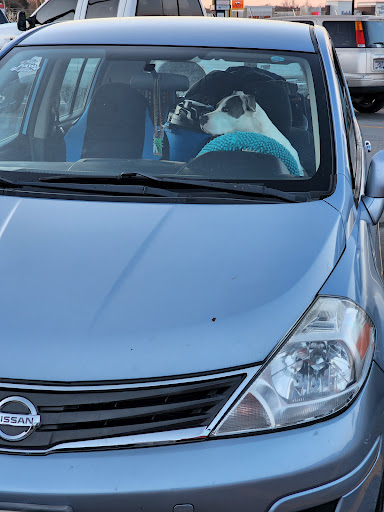 Department Store «Walmart Supercenter», reviews and photos, 175 Beasley Dr, Dickson, TN 37055, USA