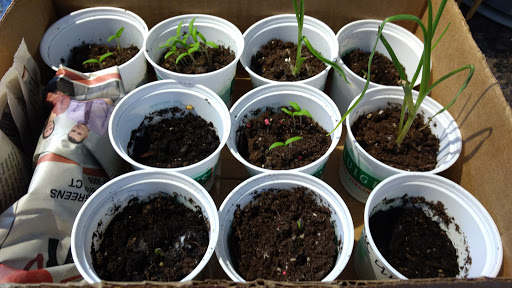 Deli «The Super Natural Market and Deli», reviews and photos, 224 N Main St, Bristol, CT 06010, USA