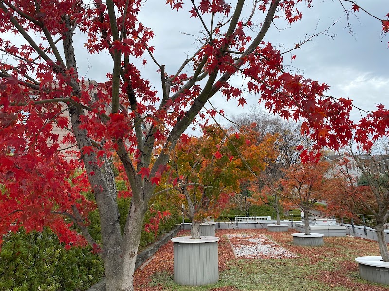 みどり野幼稚園