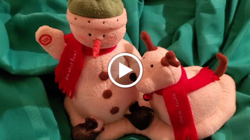 Thrift Store «Keswick Thrift Center», reviews and photos, 6225 Seminole Blvd, Seminole, FL 33772, USA