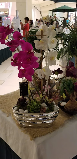 Movie Theater «AMC Aventura 24», reviews and photos, 19501 Biscayne Blvd #3001, Aventura, FL 33180, USA