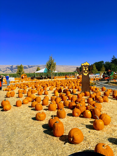 Pumpkin Patch «Spina Farms», reviews and photos, Santa Teresa Blvd, Morgan Hill, CA 95037, USA