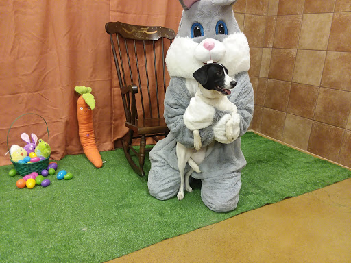 Pet Supply Store «PetSmart», reviews and photos, 5241 Monroe St, Toledo, OH 43623, USA