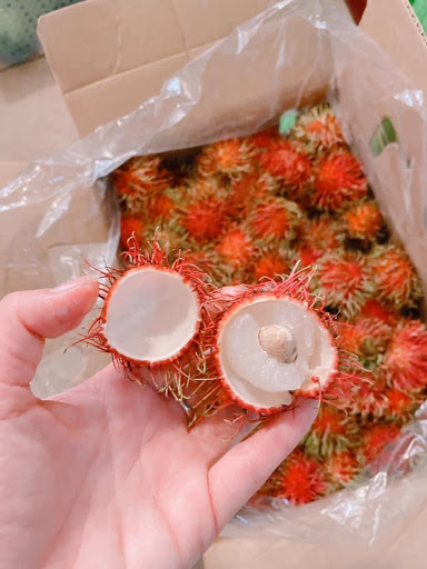 Asian Grocery Store «Phan Thiet Oriental Market», reviews and photos, 497 Schmale Road, Carol Stream, IL 60188, USA