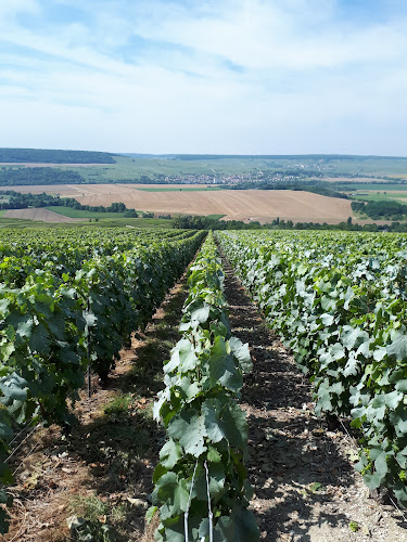 Champagne Mousse Galoteau à Binson-et-Orquigny