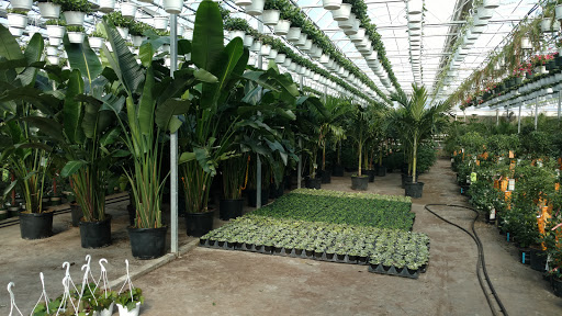 Garden Center «Blooms at Belle Mead», reviews and photos, 1980 US-206, Belle Mead, NJ 08502, USA