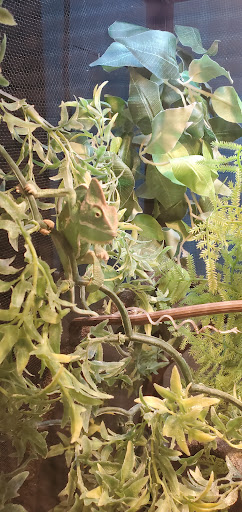 Pet Supply Store «Pet Supplies Plus», reviews and photos, 7570 Pearl Rd, Middleburg Heights, OH 44130, USA