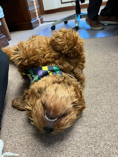 Nissan Dealer «Pat Peck Nissan - Gulfport», reviews and photos, 9480 US 49, Gulfport, MS 39503, USA