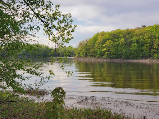 Bois-de-Saraguay Nature Park