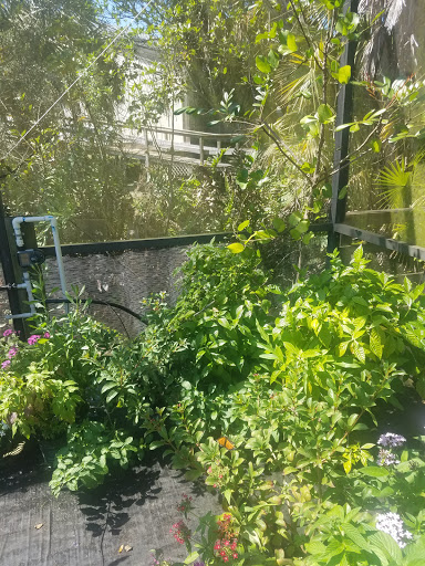 Non-Profit Organization «Sanibel-Captiva Conservation Foundation», reviews and photos, 3333 Sanibel Captiva Rd, Sanibel, FL 33957, USA