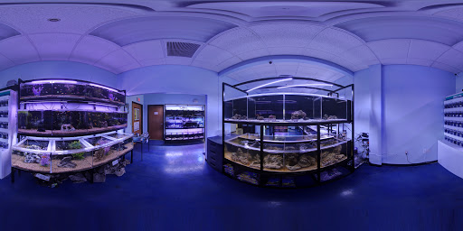 Aquarium «Artistic Aquariums, Inc», reviews and photos, 3400 N Arizona Ave #111, Chandler, AZ 85225, USA