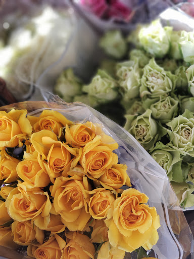 Florist «Carrolls Florist of Beverly», reviews and photos, 385 Cabot St, Beverly, MA 01915, USA