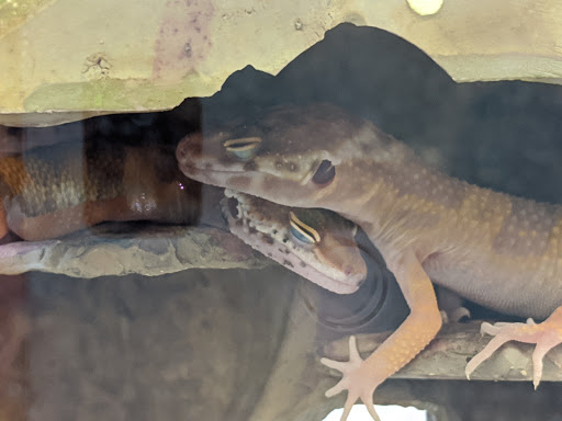 Pet Supply Store «Petco Animal Supplies», reviews and photos, 129 Mall Way, Marysville, WA 98270, USA