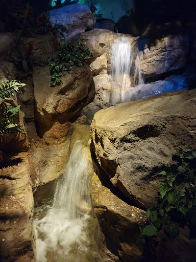 Aquarium «SEA LIFE Minnesota Aquarium», reviews and photos, 120 E Broadway, Bloomington, MN 55425, USA