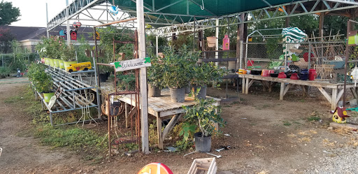 Hardware Store «Parco Home Center Inc.», reviews and photos, 2950 Williams Dr, Georgetown, TX 78628, USA