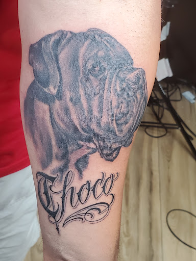 Explore book tattoo ideas for females, creative tattoo ideas in Whiting, available at Lucky Kat Tat
