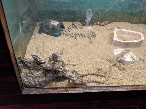 Pet Store «Animal House», reviews and photos, 646 SW 4th St, Corvallis, OR 97333, USA