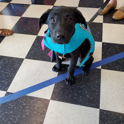 Pet Store «The Pet Place», reviews and photos, 240 Shadowline Dr, Boone, NC 28607, USA