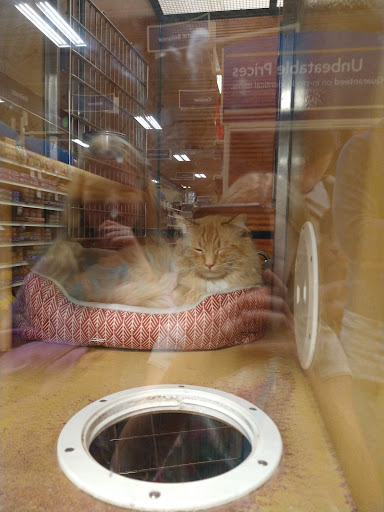 Pet Supply Store «PetSmart», reviews and photos, 745 W Huntington Dr, Monrovia, CA 91016, USA