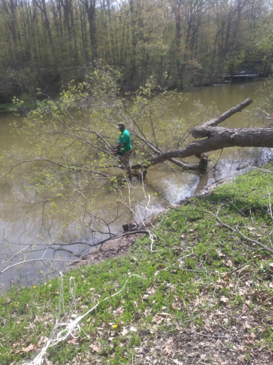 Nature Preserve «Carpenter Lake Nature Preserve», reviews and photos, 27101-27215 W 10 Mile Rd, Southfield, MI 48033, USA