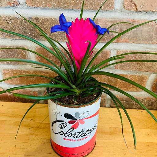 Florist «Chippewa Valley Floral», reviews and photos, 507 S Barstow St, Eau Claire, WI 54701, USA