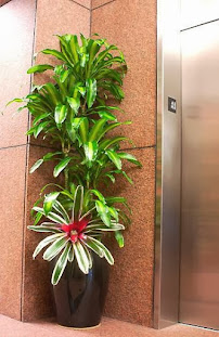 Tropical West Designs - Photo 5 - Car repair in Tarzana, CA, Simi Valley