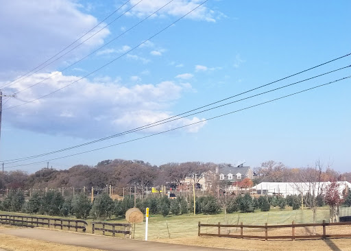 Flower Mound Christmas Trees