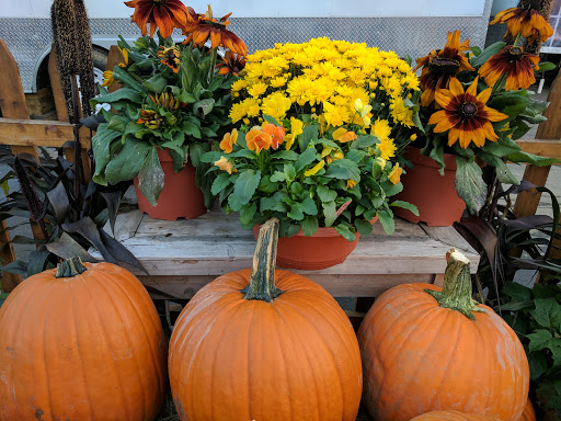 Farm «Alstede Farms», reviews and photos, 1 Alstede Farms Ln, Chester, NJ 07930, USA