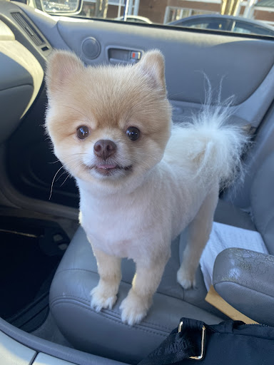 Pet Supply Store «Petco Animal Supplies», reviews and photos, 11111 San Jose Blvd #57, Jacksonville, FL 32223, USA