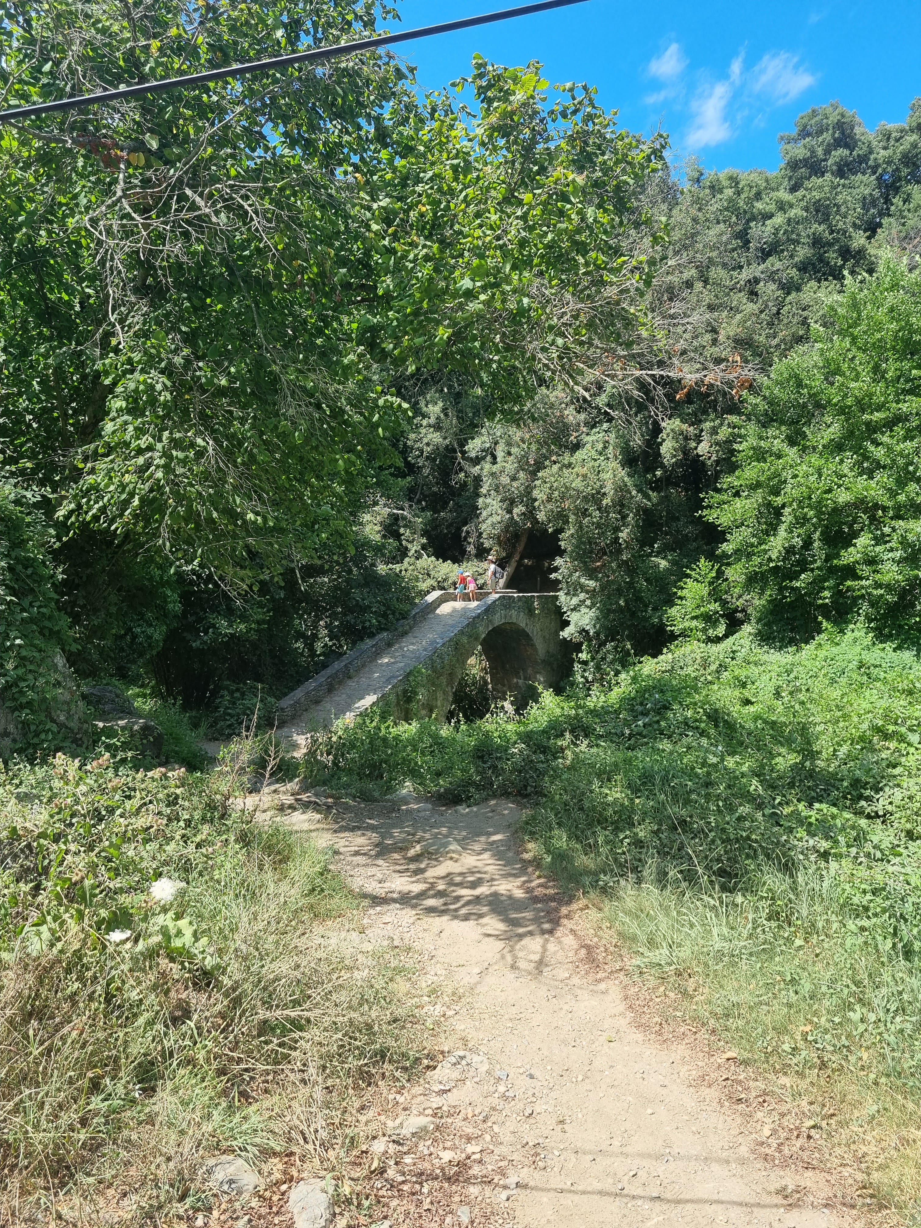 Photo n° 5 de l'avis de Rut. fait le 10/08/2023 à 18:57