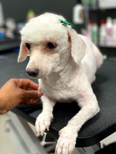 Pet Supply Store «Big Tex Feed & Pet Supply», reviews and photos, 7102 Cullen Blvd, Houston, TX 77021, USA