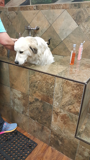 Pet Supply Store «Pet Valu», reviews and photos, 1308 Main Chapel Way, Gambrills, MD 21054, USA