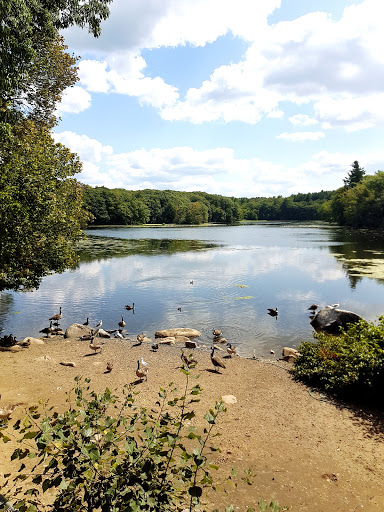 Candy Store «Wayside Country Store», reviews and photos, 1015 Boston Post Rd E #1, Marlborough, MA 01752, USA