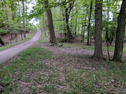 Golf Course «Highland Park Golf Course», reviews and photos, 3550 Green Rd, Highland Hills, OH 44122, USA