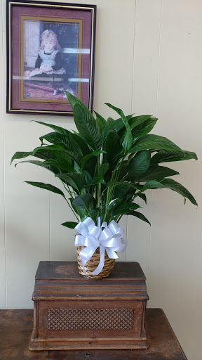 Florist «Just Because Floral Shop», reviews and photos, 614 McCullough Ave, San Antonio, TX 78215, USA