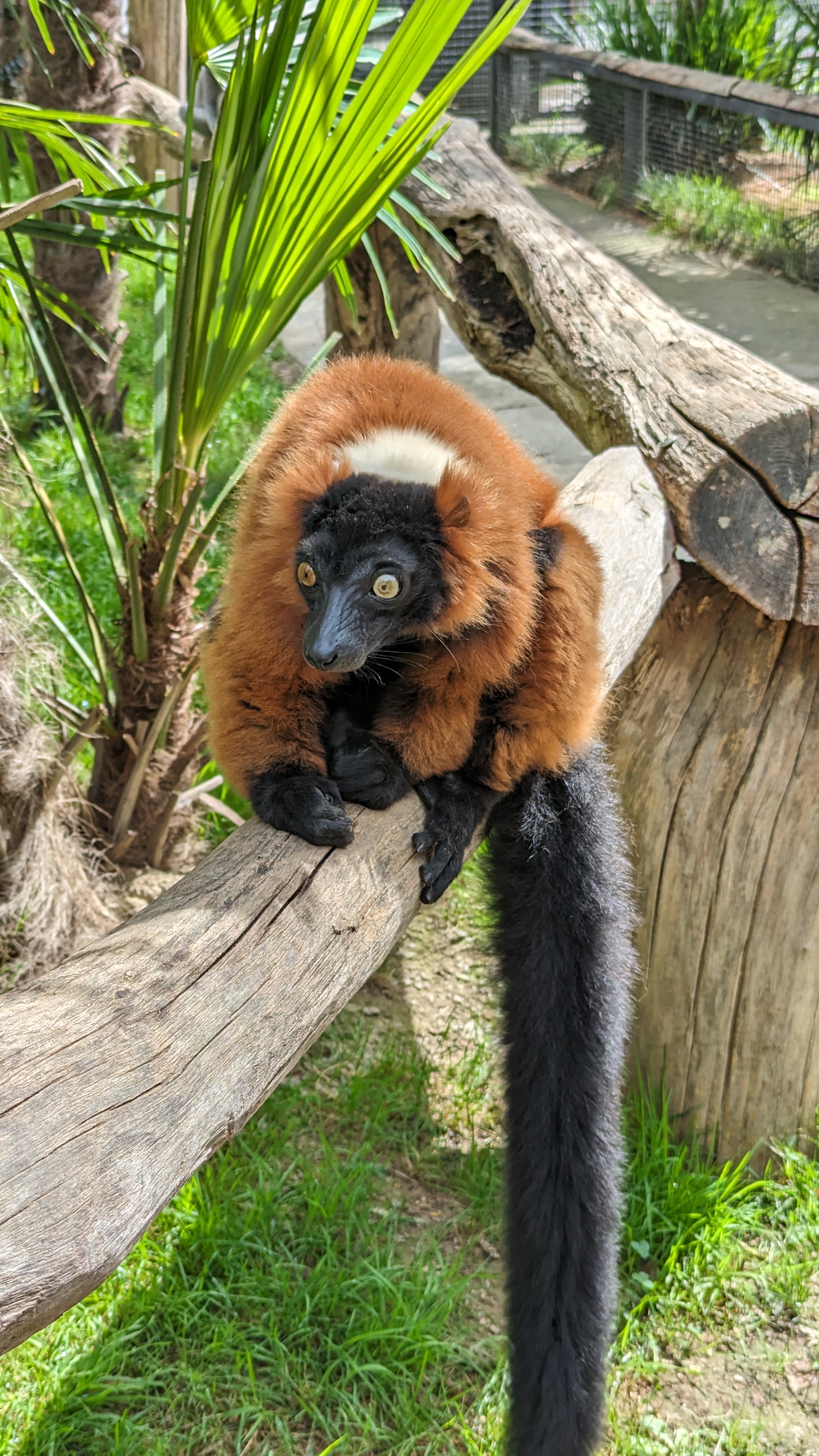 Photo n° 2 de l'avis de OruhaSue. fait le 29/09/2023 à 21:35